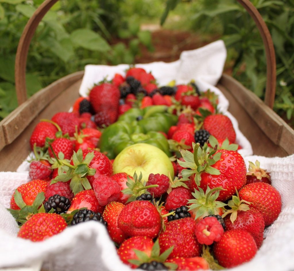 Ein Picknickkorb, gefüllt mit Beeren